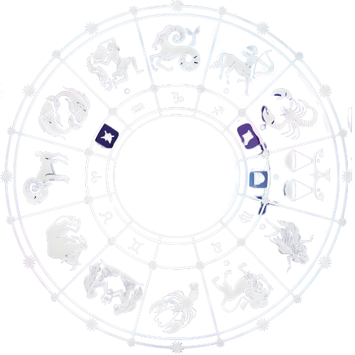 Untitled design (71)